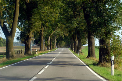 Chaussee or avenue in the countryside, trees next to paved road