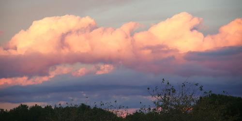 Silhouette trees against sky during sunset