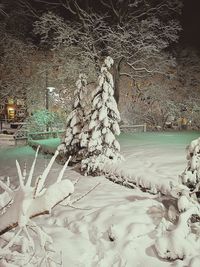Aerial view of frozen trees on land