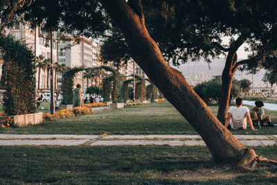 Trees and plants in park against buildings