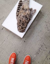 Low section of person standing on floor