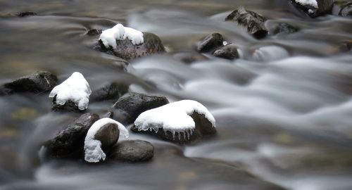 Close-up of snow in water