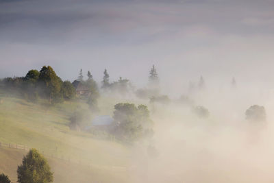 Panoramic shot of trees on landscape against sky