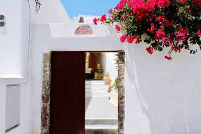 View of tree by building