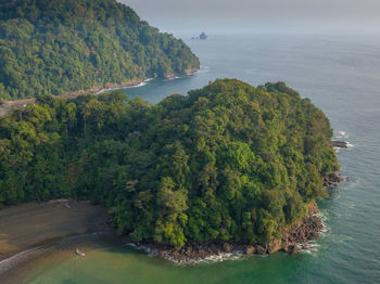 High angle view of sea and trees