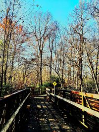 Road passing through bare trees