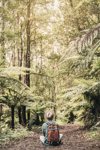 Rear view of man sitting in forest