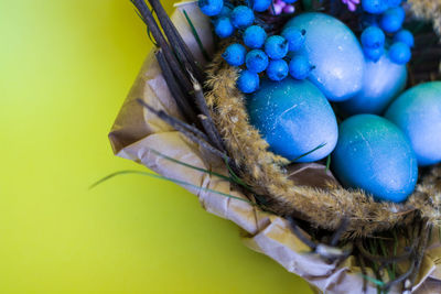 High angle view of eggs in blue background