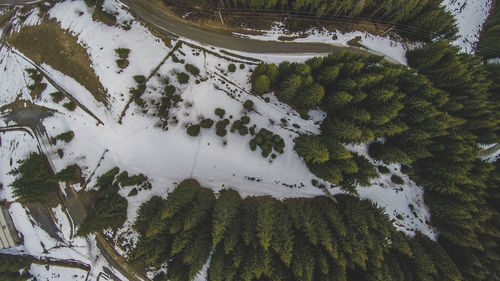 High angle view of trees on snow covered land