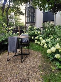 Empty chairs and table in yard against building