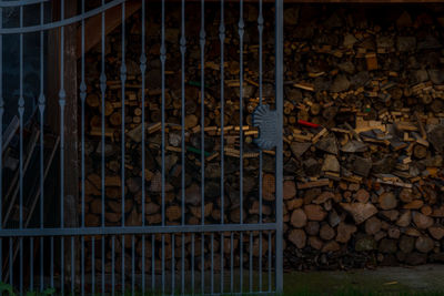 Stack of logs in forest