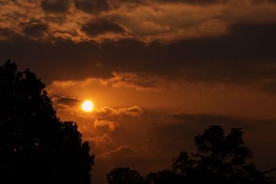 Low angle view of silhouette trees against sky during sunset