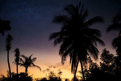 Low angle view of silhouette palm trees against sky at night