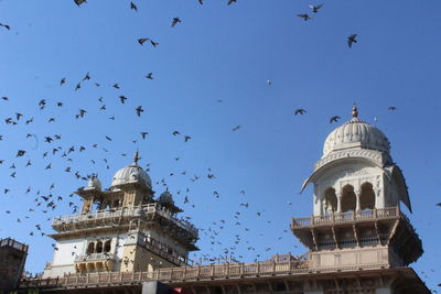 Low angle view of birds flying against sky