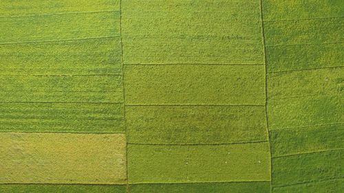 Full frame shot of multi colored green background