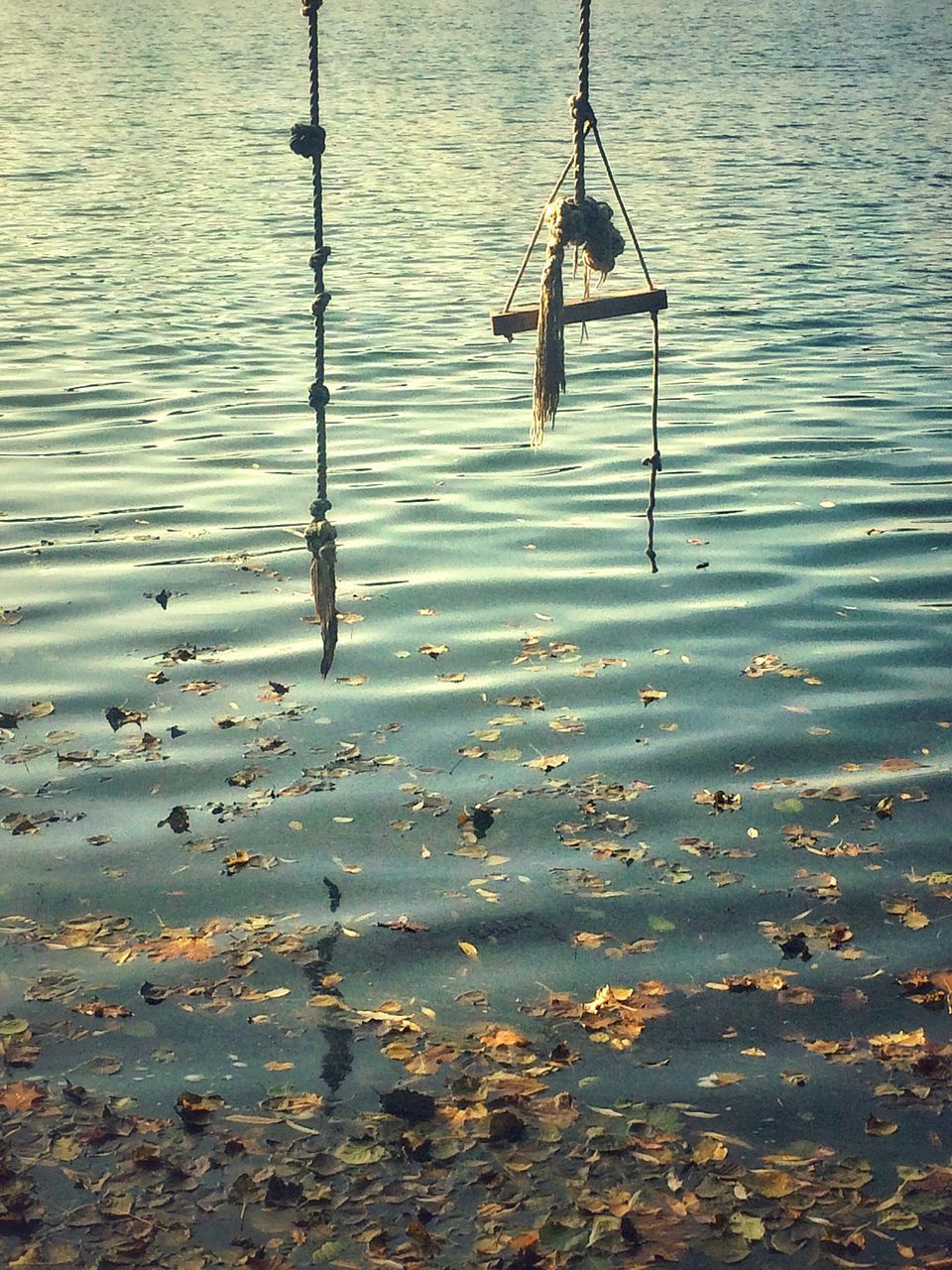 HIGH ANGLE VIEW OF SWING OVER LAKE