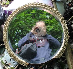 High angle view of horse sitting in water