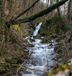 Scenic view of waterfall in forest