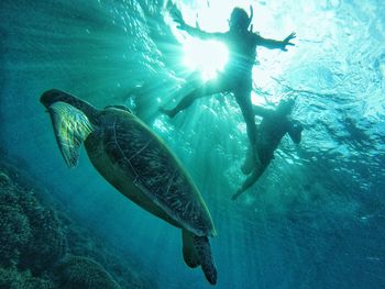 Woman swimming in sea