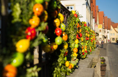 Bunch of flowering plants in city