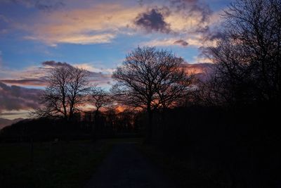 Bare trees on landscape at sunset