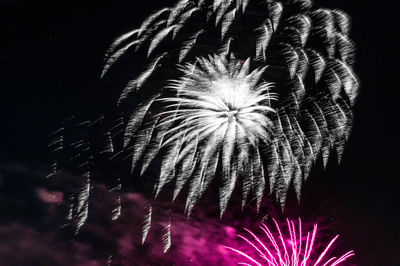 Low angle view of firework display at night