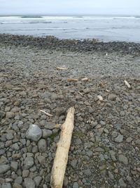 Close-up of pebbles on beach against sky