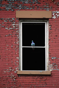 Close-up of a window of red brick wall