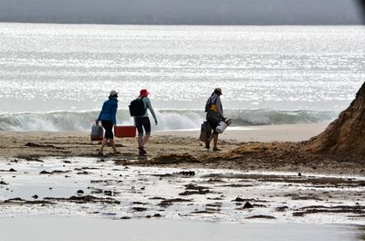 Rear view of people walking on beach