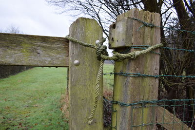 Fence by tree against sky