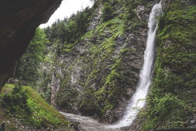 Scenic view of waterfall in forest