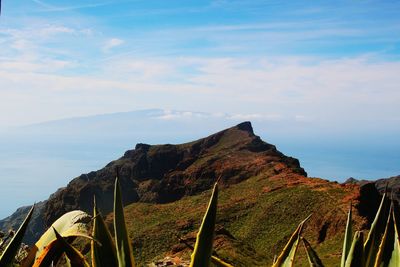 Scenic view of landscape against cloudy sky