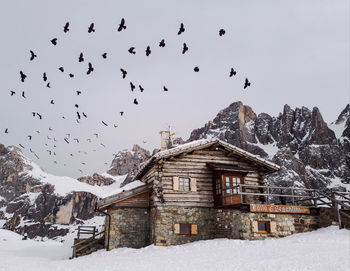 Birds flying over snow covered buildings against sky