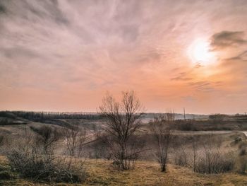 Bare trees on field against sky during sunset