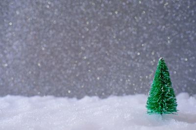 Christmas tree on snow