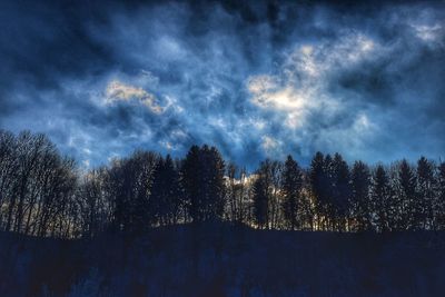 Low angle view of silhouette trees against sky at night