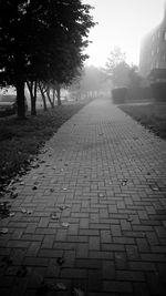 Footpath along trees