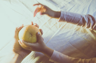 Close-up of hand holding apple