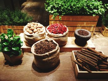 High angle view of potted plants on table