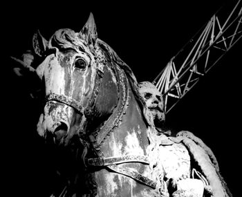 Close-up of carousel in amusement park