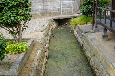 Bridge over footpath amidst plants