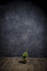 Close-up of potted plant on table