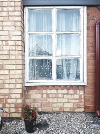 Window on wall of building