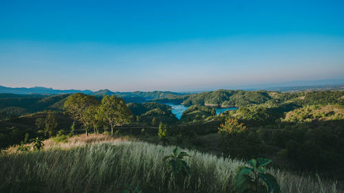 Scenic view of landscape against blue sky
