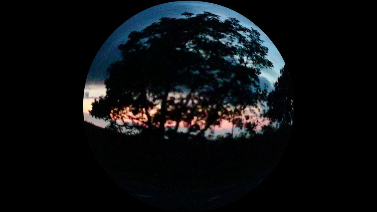 circle, sky, silhouette, dark, tree, night, geometric shape, nature, astronomy, tranquility, indoors, transparent, reflection, no people, glass - material, round, copy space, tranquil scene, window, fish-eye lens