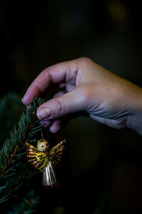 Close-up of hand holding leaf