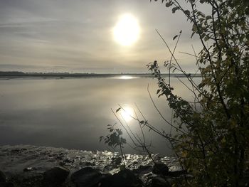 Nachmittag an der eider in tönning 