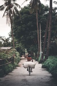 Rear view of man riding motorcycle on road