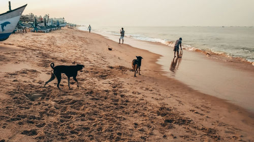 People on beach by sea against sky