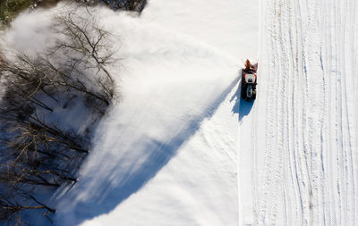 Person skiing on snow covered tree